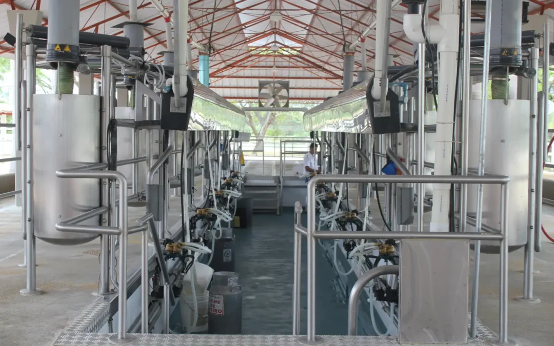 How to Store Fresh Milk for Longer Shelf Life