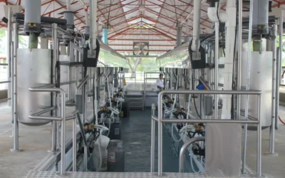How to Store Fresh Milk for Longer Shelf Life